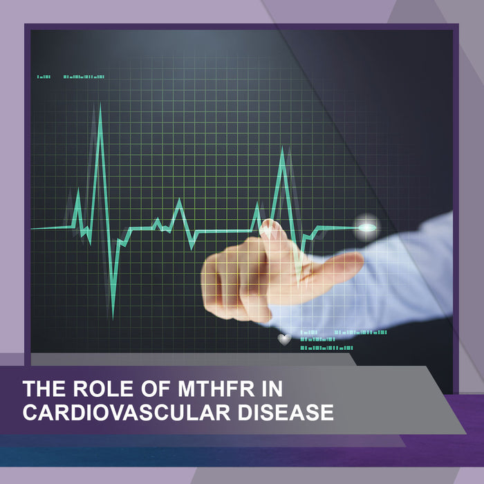 The Role in Cardiovascular Disease