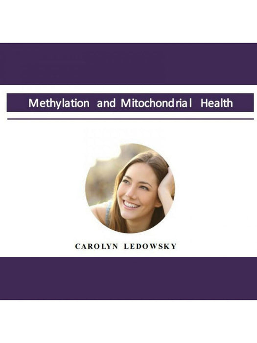 Methylation and Mitochondrial Health Presentation (audio only)