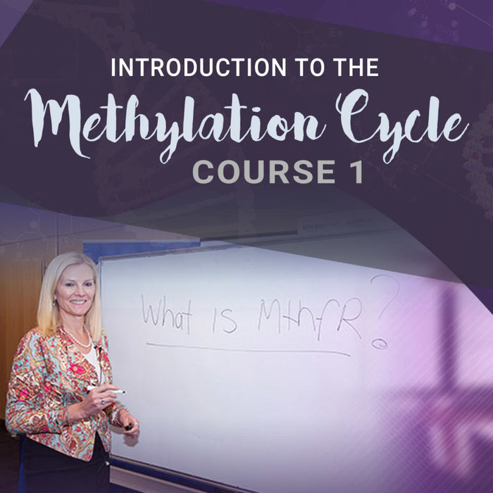 Introduction to the Methylation Cycles Course 1