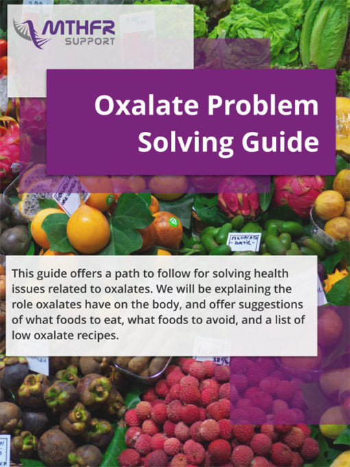 Oxalate Problem Solving Guide and Recipe ebook