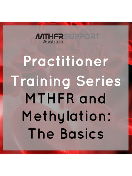 Practitioner Training Series | MTHFR & Methylation: Webinar Recordings